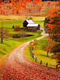 Autumn, Sleepy Hollow, Vermont
photo via monica