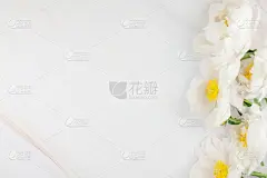 白色,牡丹,大理石,背景,贺卡,留白,水平画幅,纹理效果,五月,情人节