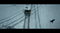 766eb835gy1hgjfgzct3yj22yo1o0kjm.jpg (3840×2160)