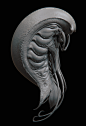 Isopod Creature Concept