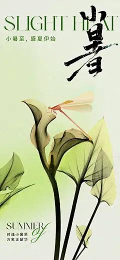 地产美业小暑节气海报-花卉,唯美,意境,朦胧,弥散,蜻蜓,夏花,海报,节气,小暑