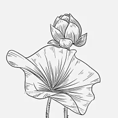 黑色线描荷花插画图片大小2500x2500px 图片尺寸115.92 KB 来自PNG搜索网 pngss.com 免费免扣png素材下载！荷花插画#荷叶#黑色线描#花#花朵#花卉#手绘荷花#手绘花朵#线描荷花#线描植物#装饰图案#