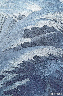 zheyecunzai采集到an'wen