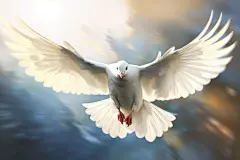 设计主题主题展翅飞翔的和平鸽插画