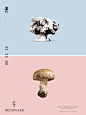 recipeace creative advertising - food war guns - ... | Project Resear…