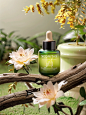 00038-2406542858-(1 Bottles),Camellia flower,branches,plants,nature,blurred background, forestSkincare 0