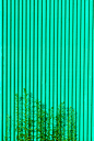 全部尺寸 | Minimal organic | Flickr - 相片分享！