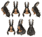 Viera Hairstyles Art from Final Fantasy XIV: Shadowbringers