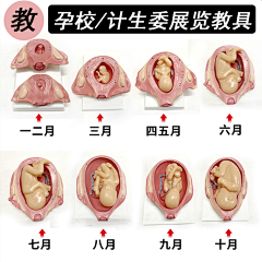 丿瞳同学采集到素材