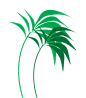 Green Palm Trees Travel Beach Icon