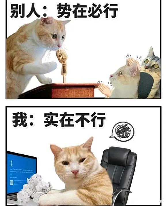 发一些自己存的meme_meme图吧_百度贴吧-花瓣网