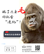脱毛  医美整形 h5 设计加V，L1476473805