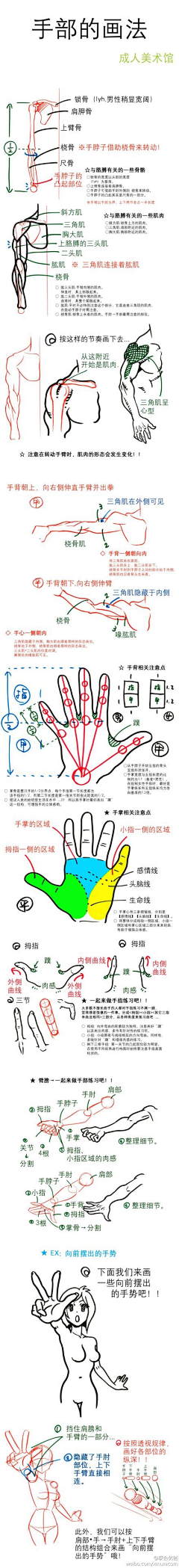 花卷是花卷采集到绘画教程