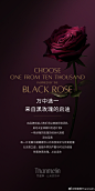 @梵蜜琳Thanmelin 的个人主页 - 微博