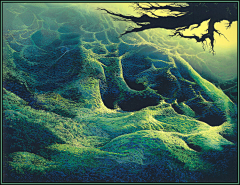 飛魚drj采集到Eyvind Earle