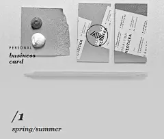 Martyna W?dzicka 设计室 2013年身份名片设计-古田路9号