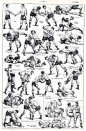 Pankration Techniques Google Search Pankration Pinterest - 493x750 - jpeg