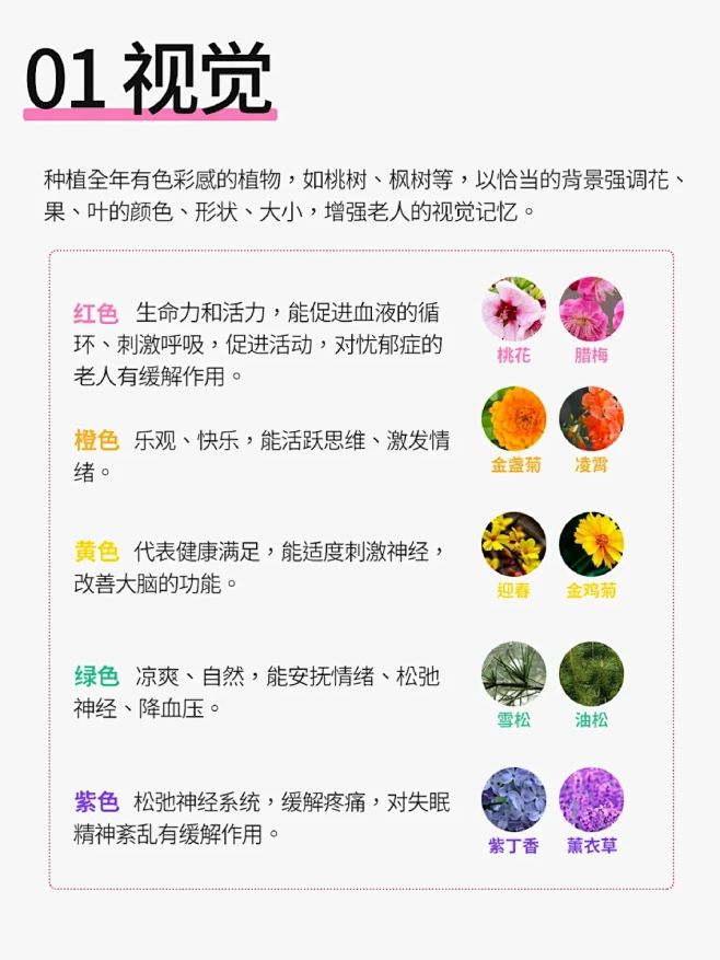 五感疗法 怎样设计理想的疗养花园？ - 小红书-花瓣网