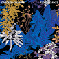 Crooked Colours band artwork on Behance