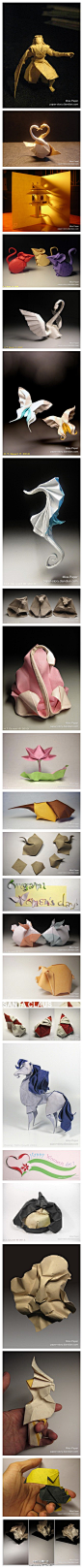 越南的著名折纸艺术家，他的作品风格写实度也不高,但简洁生动，常使用湿折处理。