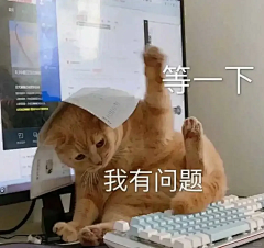恰好我芳华正好采集到表情包