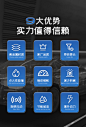 适用NGK双铱金火花塞汽车原厂升级4支装原装官方正品专车专用火嘴-淘宝网
