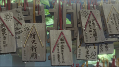 尾田荣一郎采集到新海诚