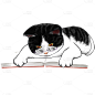 手绘猫咪插画