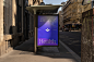 design gradients healthcare numbers typography   health platform Platform application movement HEALTH TRACKING APP