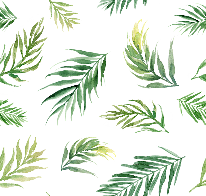 植物PNG