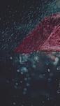 雨