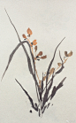 介疾的照片 - 微相册