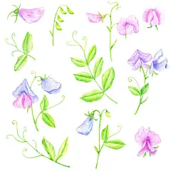 水彩湿地花卉图案与粉色莲花苏萨克伞黄色百合蓝色蜻蜓和绿色叶子在粉色背景,Watercolor wetland floral pattern with pink lotus susak umbrella yellow lily blue dragonfly and green leaves on pink background - 图虫创意-全球领先正版素材库-Adobe Stock中国独家合作伙伴