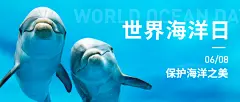 世界海洋日公益环境公众号首图