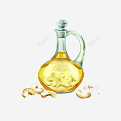 赵淑女采集到手绘坚果素材