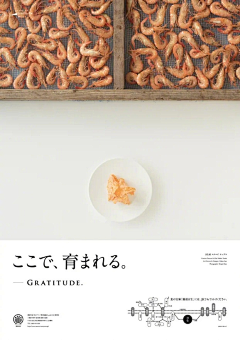 阿豆ding采集到【排版】日系海报