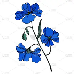 矢量亚麻花卉植物花。黑白雕刻水墨艺术。隔离亚麻插画元件.