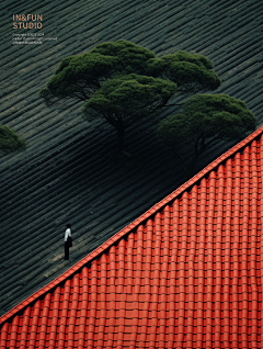 李冬瓜”采集到C-项目实景