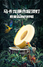<a class="text-meta meta-mention" href="/vzezrag5sk/">@绿萝的主人</a>