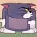 猫亦以寂凉夏天