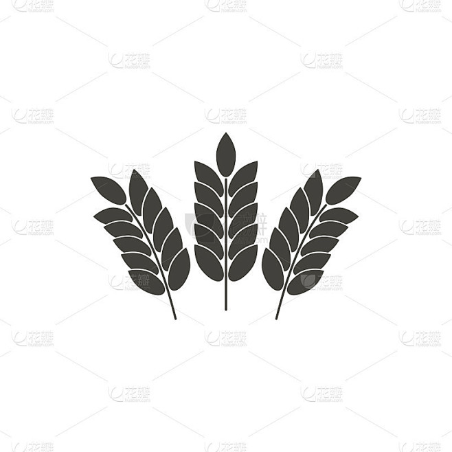 大麦图标
