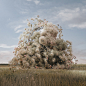A Journey into the Electric Nature : Digital Installation made by Reisinger Studio.Forced to delay physical projects because of the quarantine, Reisinger Studio spent about a month photographing their inner world.None of the images you see is a photograph