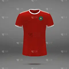摩洛哥,足球服,衣服,制服,衬衫,男人,铁丝网,杯
