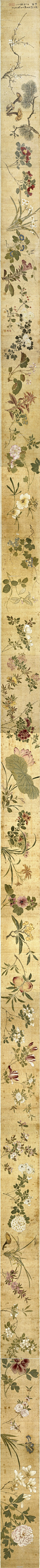 明 陳嘉言(浙江嘉兴人， 1539-?) 《百花图长卷》做于崇祯二年(已巳 1629年)。