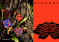 【1983ASIA案例】"MENOGGA 米洛甲"品牌形象设计-古田路9号-品牌创意/版权保护平台