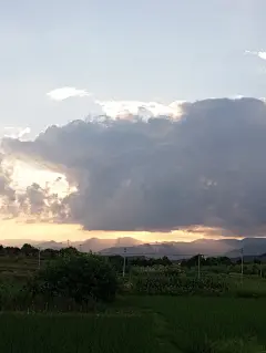 采集图片