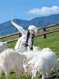 几百块就在丽江拍到了抱小羊的藏服写真