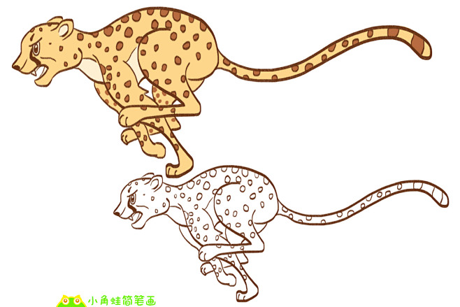 长大是陷阱从小角蛙简笔画转采于2022-02-28 21:14:55猎豹豹子长大是