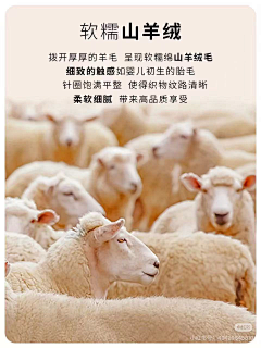 LKJ无言采集到面料图