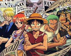 徐姓大龄青年采集到动漫 | 海贼王（ONE PIECE）